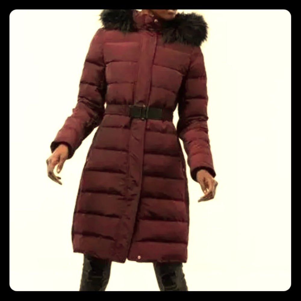 Express Long Belted Puffer Jacket Maroon